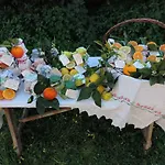 فندق Domu Incantada مورافيرا