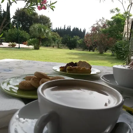 Domu Incantada Hotell