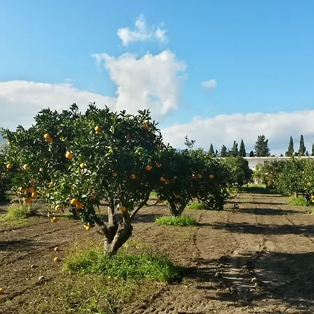 Domu Incantada Ξενοδοχείο 3*